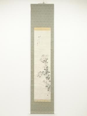 今小路悠山筆　菊花　肉筆紙本掛軸（保護箱）